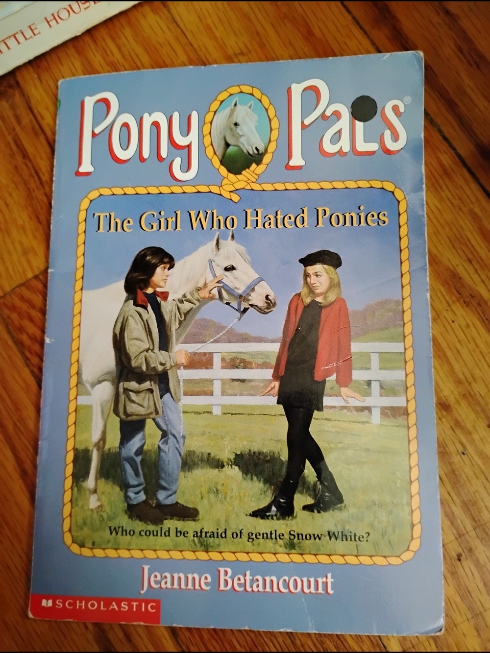 Scholastic Pony Pals The Girl Who Hated Ponies - Blue Cover